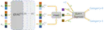 Quantum self-attention neural networks for text classification