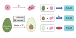 Information recoverability of noisy quantum states