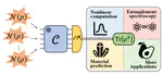 Retrieving Non-Linear Features from Noisy Quantum States