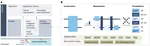 A quest toward comprehensive benchmarking of quantum computing software