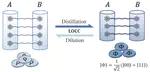 Computable and Faithful Lower Bound for Entanglement Cost