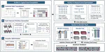 Quantum Compiler Design for Fault-Tolerant Quantum Computing
